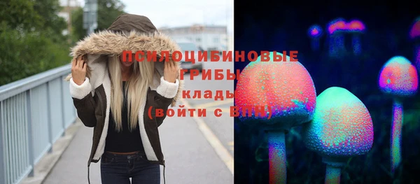 гидра Михайлов