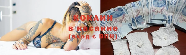 гидра Михайлов