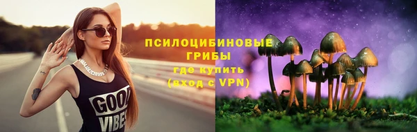 гидра Михайлов