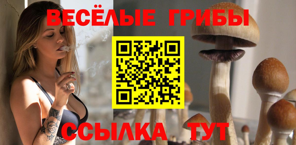 Галлюциногенные грибы MAGIC MUSHROOMS Фролово